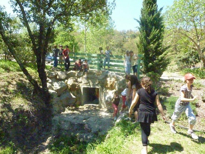 P1020861 [1600x1200].JPG